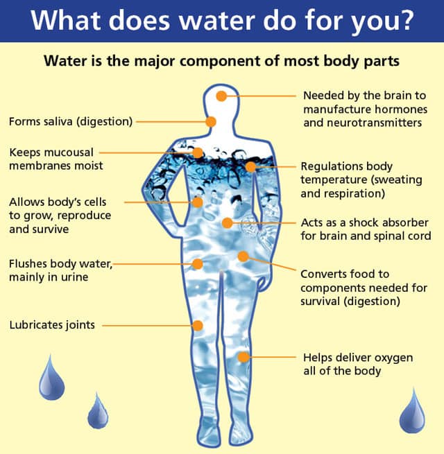 Civilian Exposure - What does water do for you?